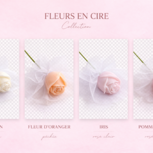 Fleurs en cire pour décorer et parfumer